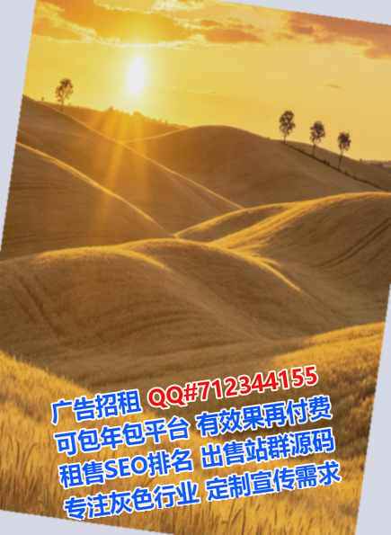 阜新代妈电子科技工作室